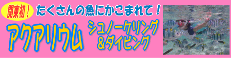アクアリウムシュノーケリング&ダイビング