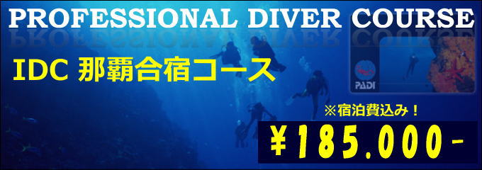 沖縄PADIダイビングインストラクター