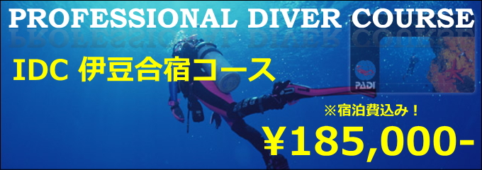 伊豆ダイビングインストラクターコース開催