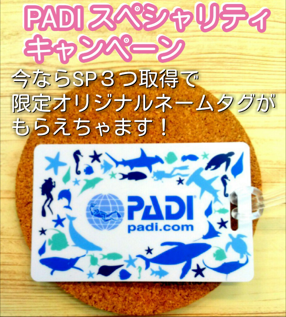 PADIスペシャリティキャンぺーン