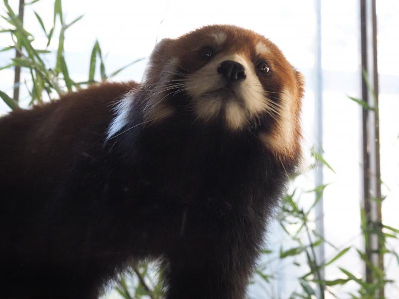 ドアップ！！ズームなし笑