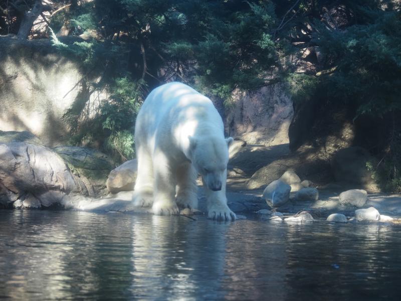 飼育員のとっておきタイム✌︎('ω'✌︎ )
