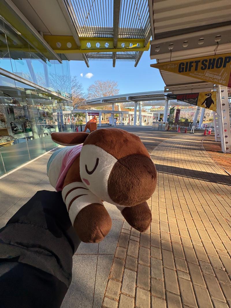 最後にしっかりお迎えしました(● ˃̶͈̀ロ˂̶͈́)੭ꠥ⁾