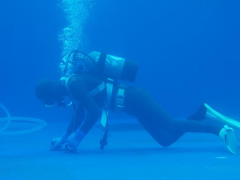 掃除中のダイバー発見