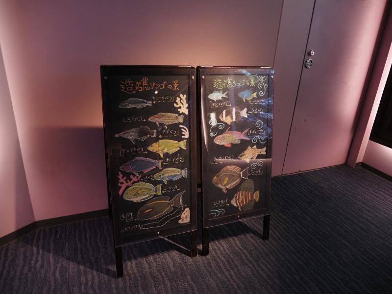 手書きの解説文