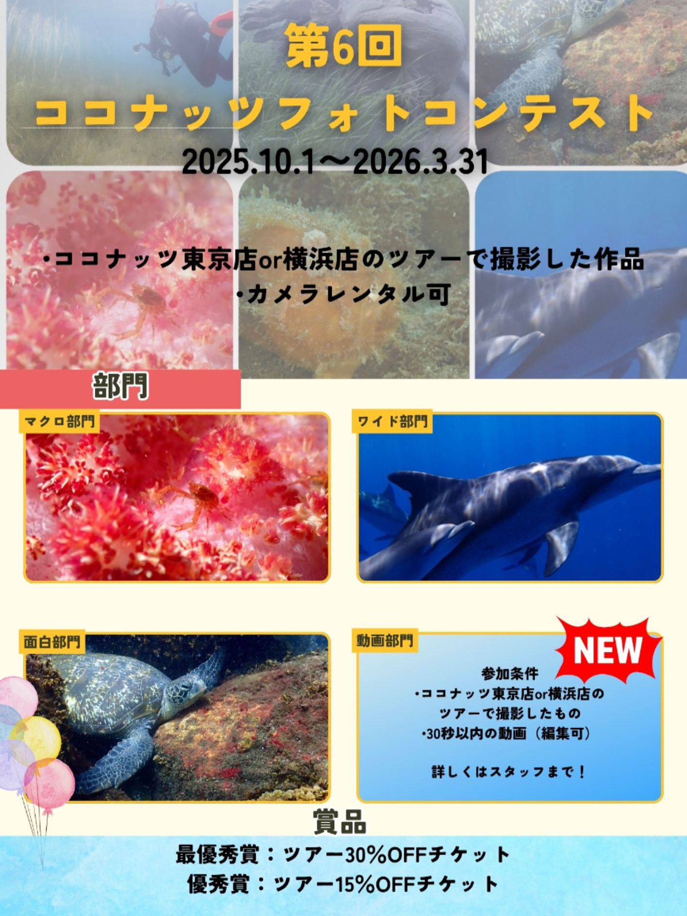 ココナッツフォトコン第6回開催！
