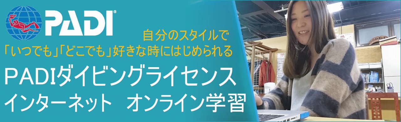 PADIダイビングライセンスインターネットオンライン学習ダイビングの始め方の一つの方法です
