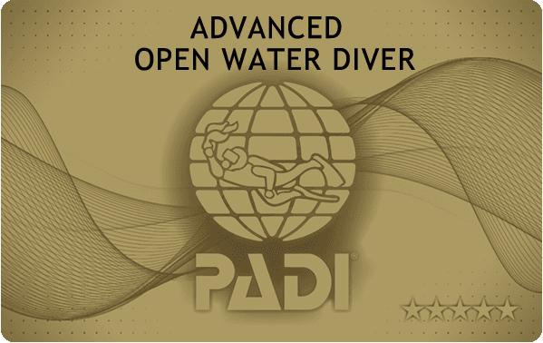 ダイビングライセンス「ＰＡＤＩ」