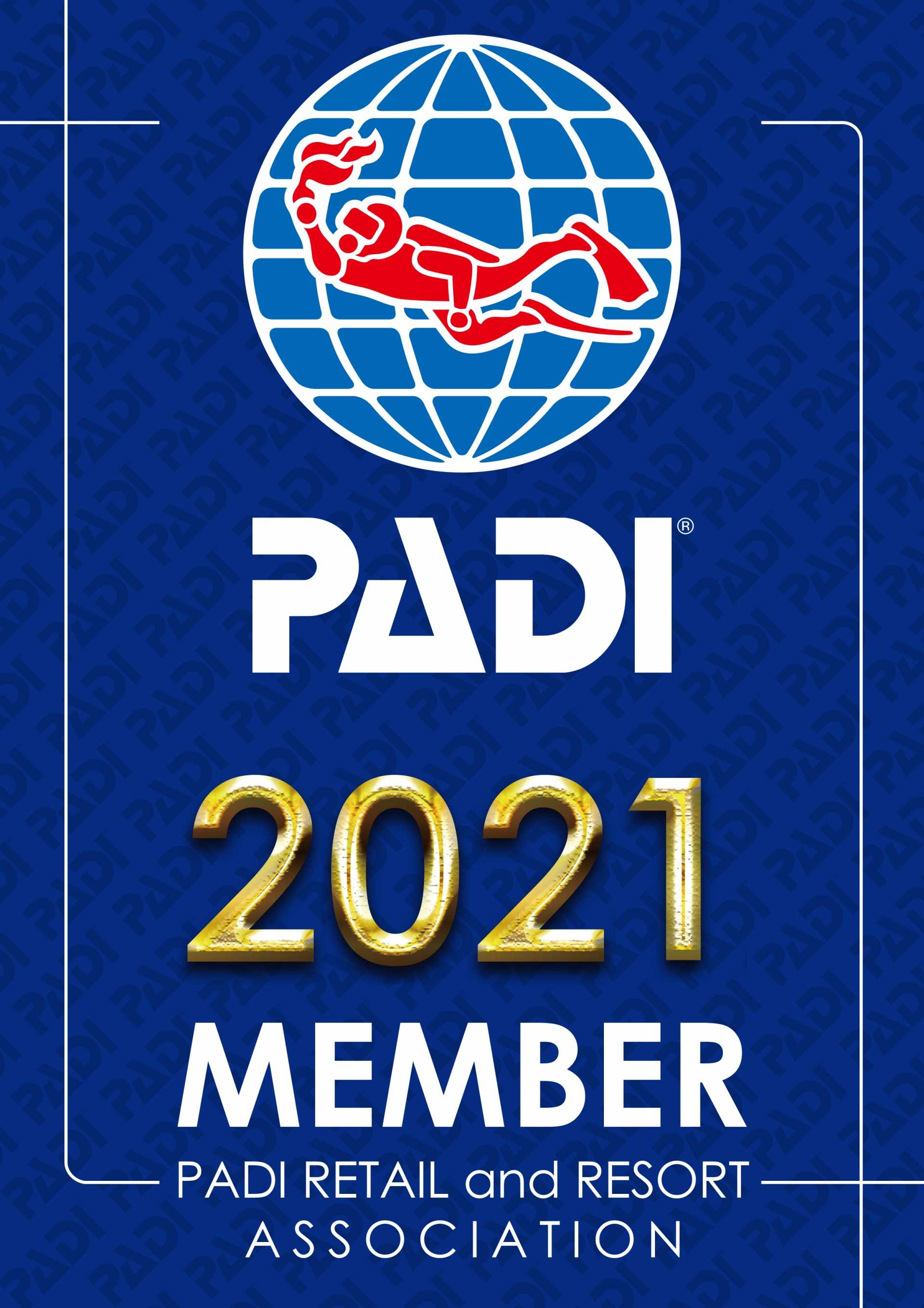padiダイブセンター
