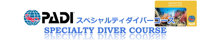 スペシャルティーコース