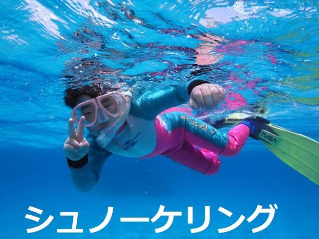 シュノーケリングツアー