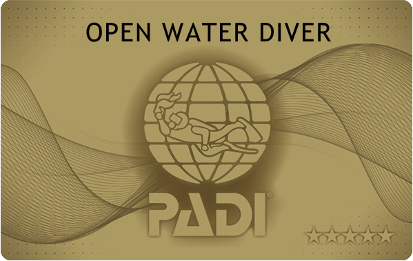 初心者ダイビングライセンス PADI