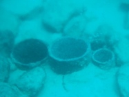 海底温泉