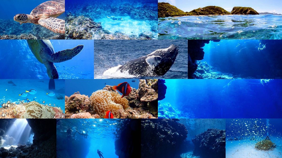 水中の世界