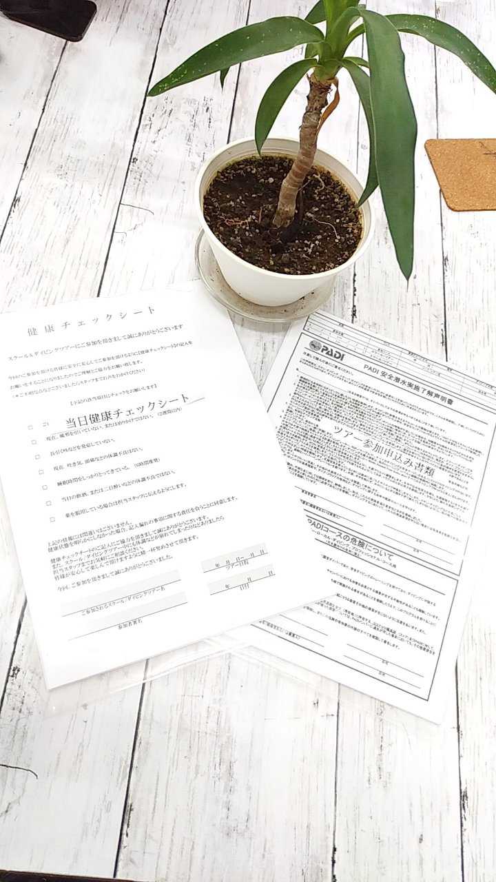 感染対策