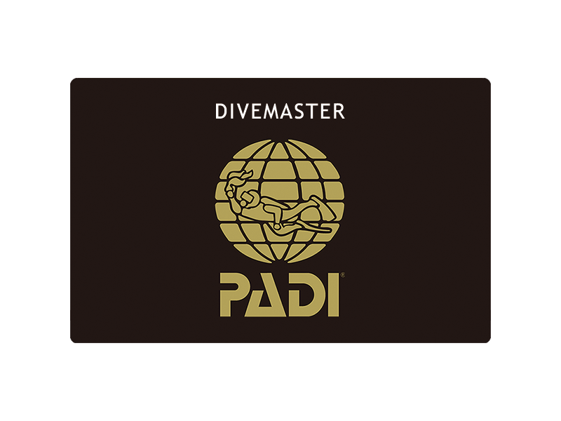 PADI ダイブマスターコース