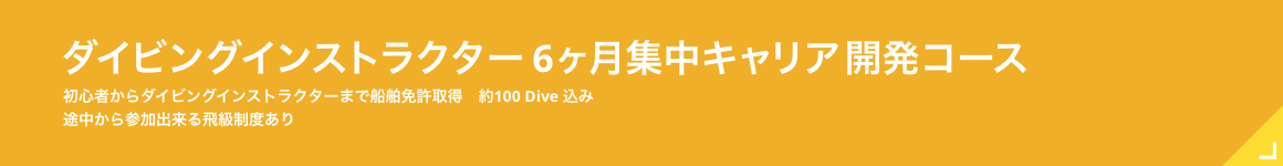 ダイビングインストラクター6ヶ月集中キャリア開発コース