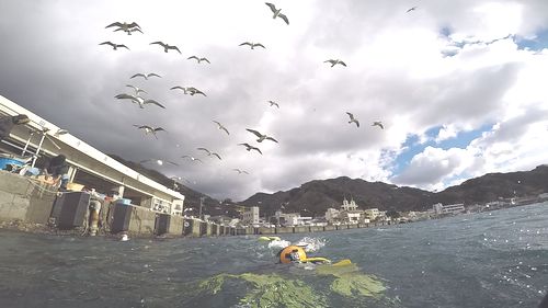 水面できれいに写真をとる方法