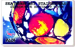 オリジナルスペシャルティーコース