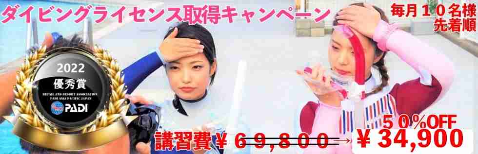 初心者 PADIダイビングライセンス