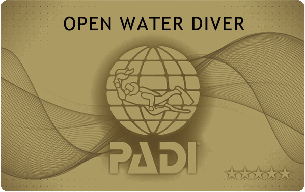 ダイビングライセンス「ＰＡＤＩ」