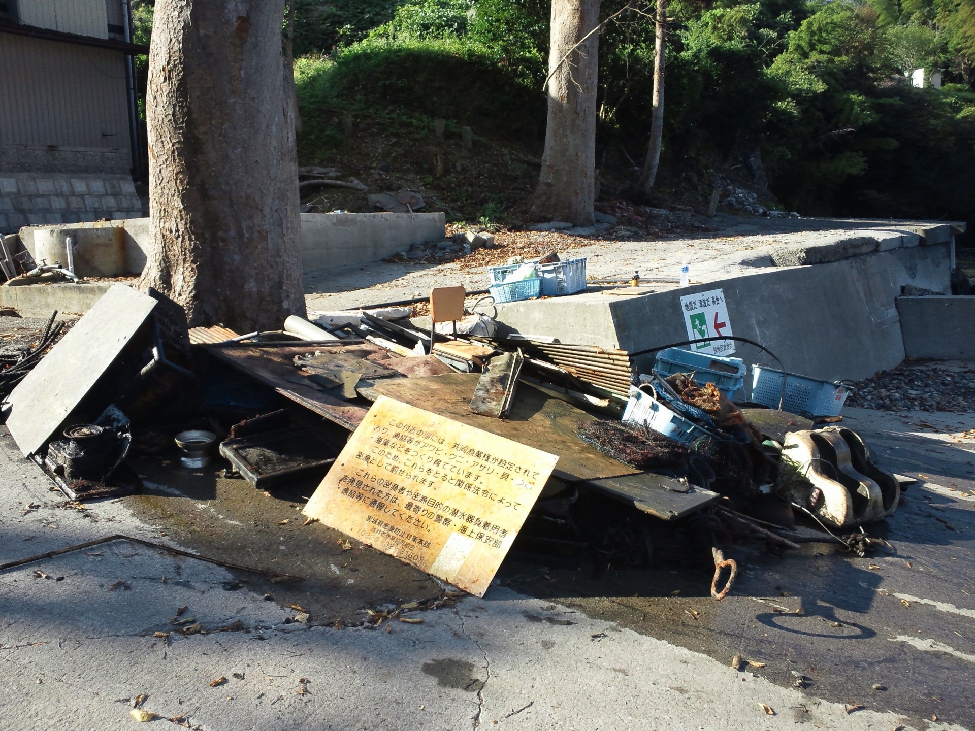 東日本大震災